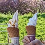 一夜城 ヨロイヅカ・ファーム - 