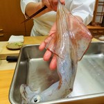 鮨 銀座 おのでら - (2015.2) 新鮮な烏賊