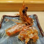 鮨 銀座 おのでら - (2015.2) 車海老