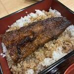 炭火鰻のこうせい - 半尾　