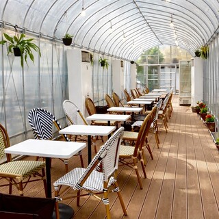 サクラカフェ_0