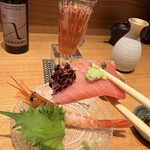 食堂 せざき - 本鮪中トロ
