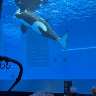 ブルーオーシャン_1