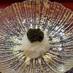 白翠 - 
