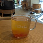 スターバックスコーヒー - 