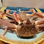 日本料理 松江 和らく - 本日のかに