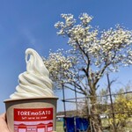 とれのさと - 料理写真:バニラソフト
