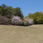 ゴールド佐野カントリークラブレストラン - 