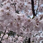 あかはね - 