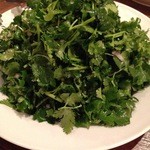 楽記 - 山盛りパクチー