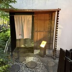 茶茶 花 - 