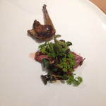 bb9 - 鳩！苦手が大好きになりました