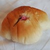 ぱんのわプラス - 塩パンさくら
