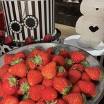 ロビーラウンジ 「マーブルラウンジ」 - 
