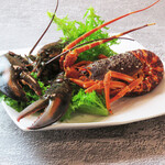 Restaurant タナカ - 