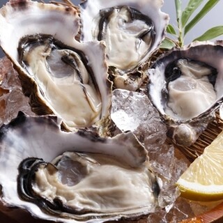 いかだ荘 山上_0