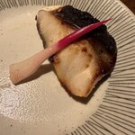 アポロプラス - 