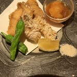 アポロプラス - 