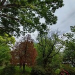 無印良品 - 料理写真: