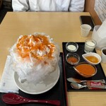 かき氷専門店 porte ひなさく堂 - 