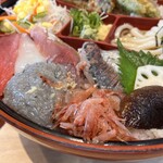 沼津魚がし鮨 流れ鮨 - ちらし寿司