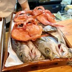 肴の店 枝むら - 