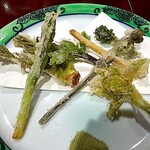 柳家錦 - 