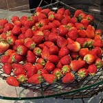 BONSALUTE CAFE - 