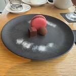 bubó BARCELONA - 