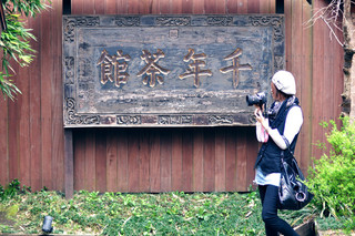 千年茶館 - お店の看板
