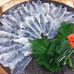 キサラギ - ふぐ尽くしこーす2015　てっさ