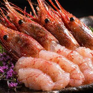 【天然鮮魚】福井産がす海老と旬の天然魚
