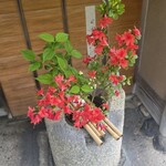 菓游 茜庵 - 