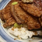豚丼のはなとかち - 