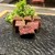 恵比寿 鉄板焼き Sublime - 料理写真: