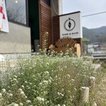 South in North  - 