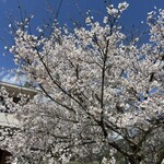 South in North  - 