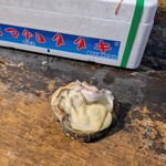 魚売場　森田水産 - 茨城産岩牡蠣 600円