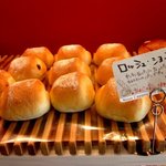 Pooch - (2015,02/28)