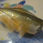 寿司 うち田 - 小肌