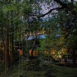 月のうさぎ - 竹林から母屋が見えます☆