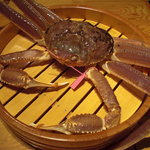 Maruya - 柴山港の"一番蟹"です。
