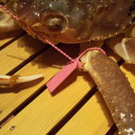 まる屋 - ピンクタグが柴山港の証。"米正丸"が揚げた"一番蟹"です。