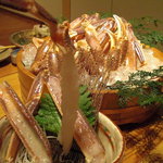 まる屋 - 身が綺麗に透き通っています。