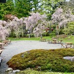 寺cafe 成慶院 - 