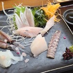 サラリーマン割烹 大増 - お刺身⑤蛍烏賊⑥烏賊⑦蝦蛄⑧平貝⑨勘八