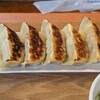 Sunny Day Dumpling - 宇都宮ハレノヒ餃子定食の餃子