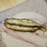 Sushi Sho Yotsuya
