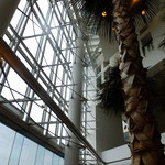 カフェトスカ - 