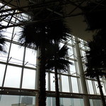 カフェトスカ - 